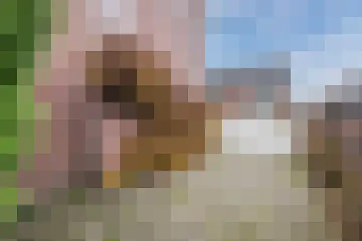 Multatulistraat 1 Harderwijk thumbnail 43