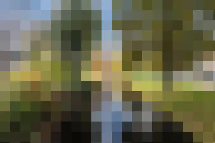 Multatulistraat 1 Harderwijk thumbnail 48