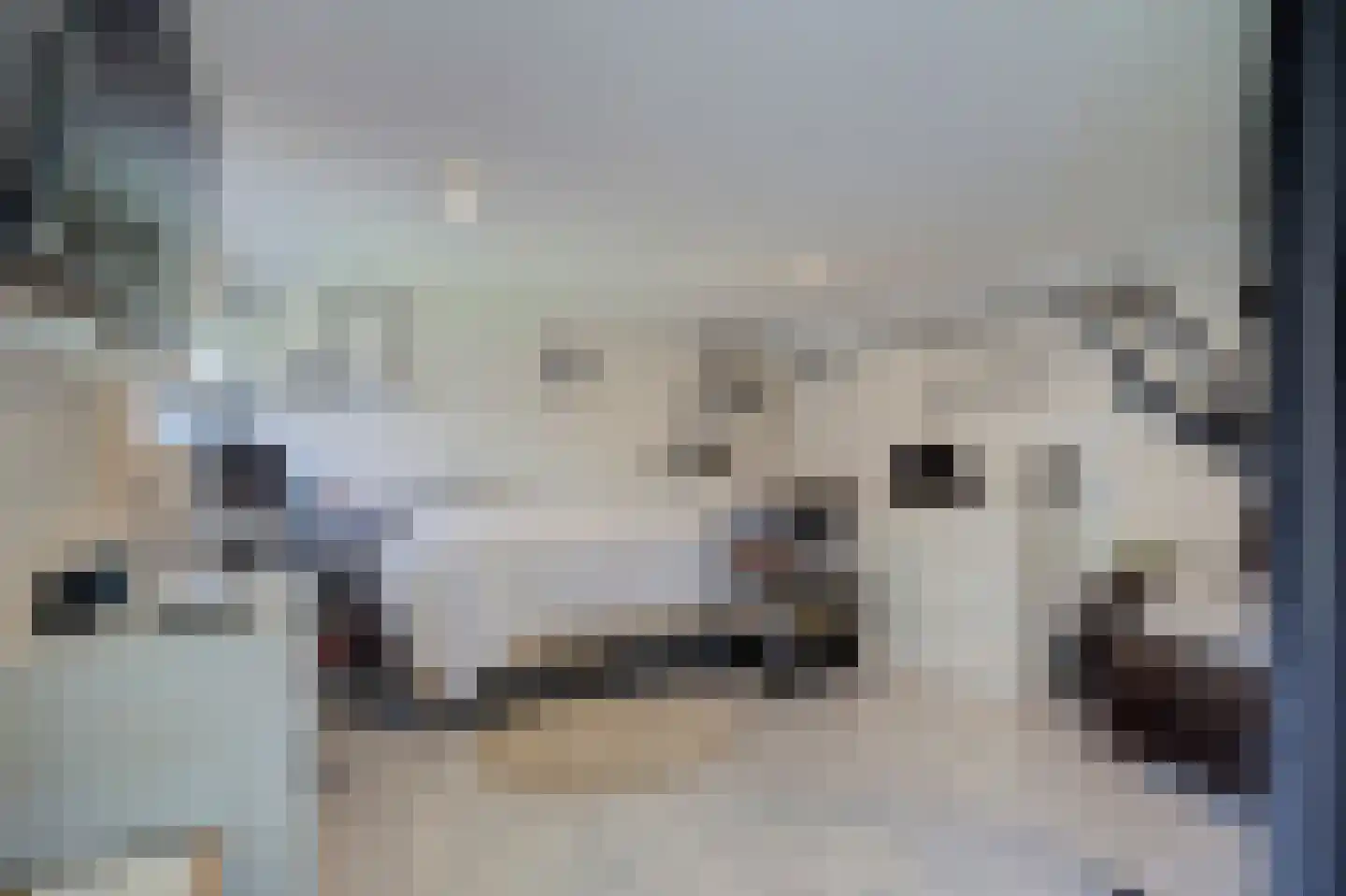 Multatulistraat 1 Spijkenisse thumbnail 21