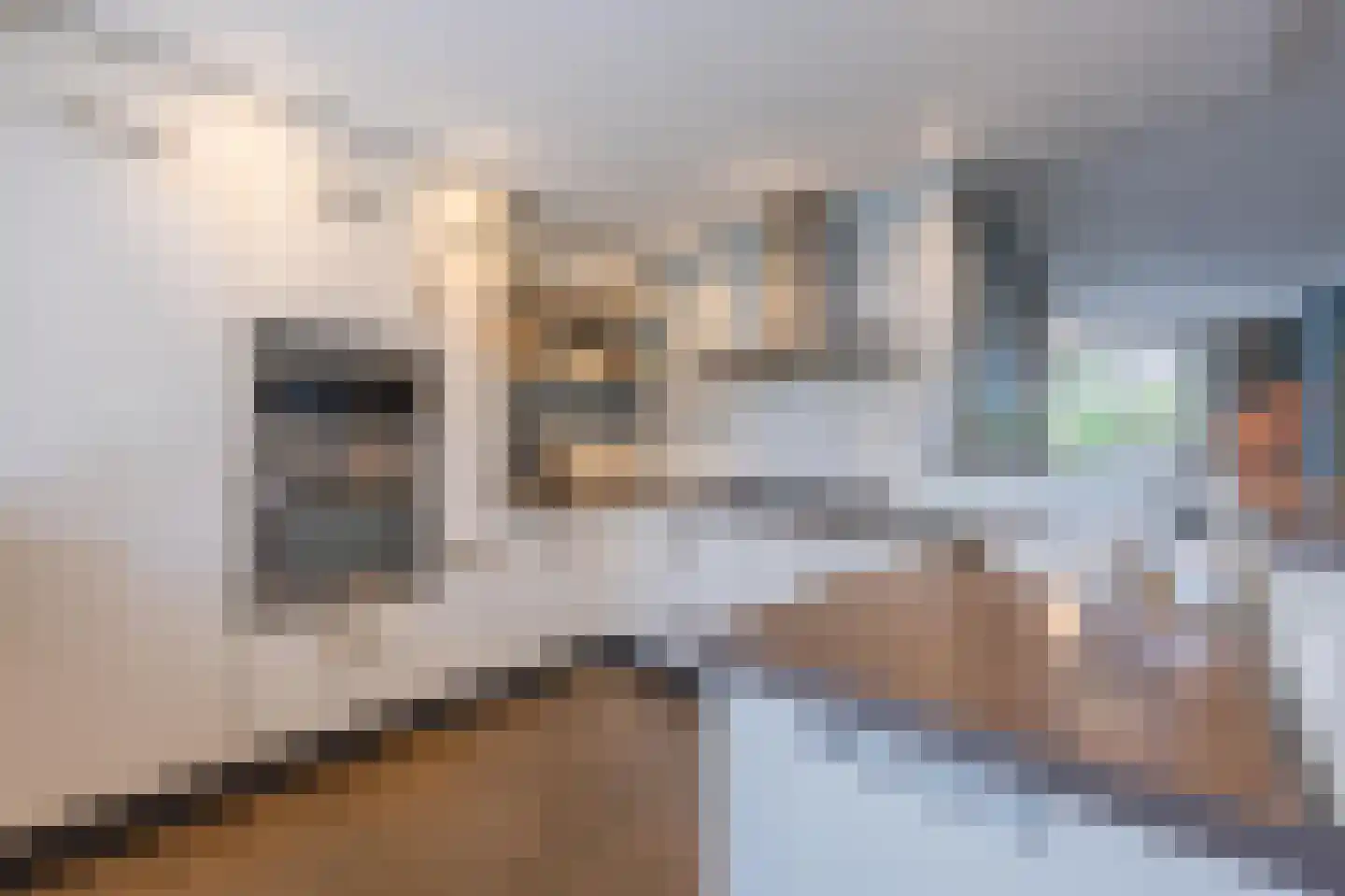 Multatulistraat 1 Tiel thumbnail 16