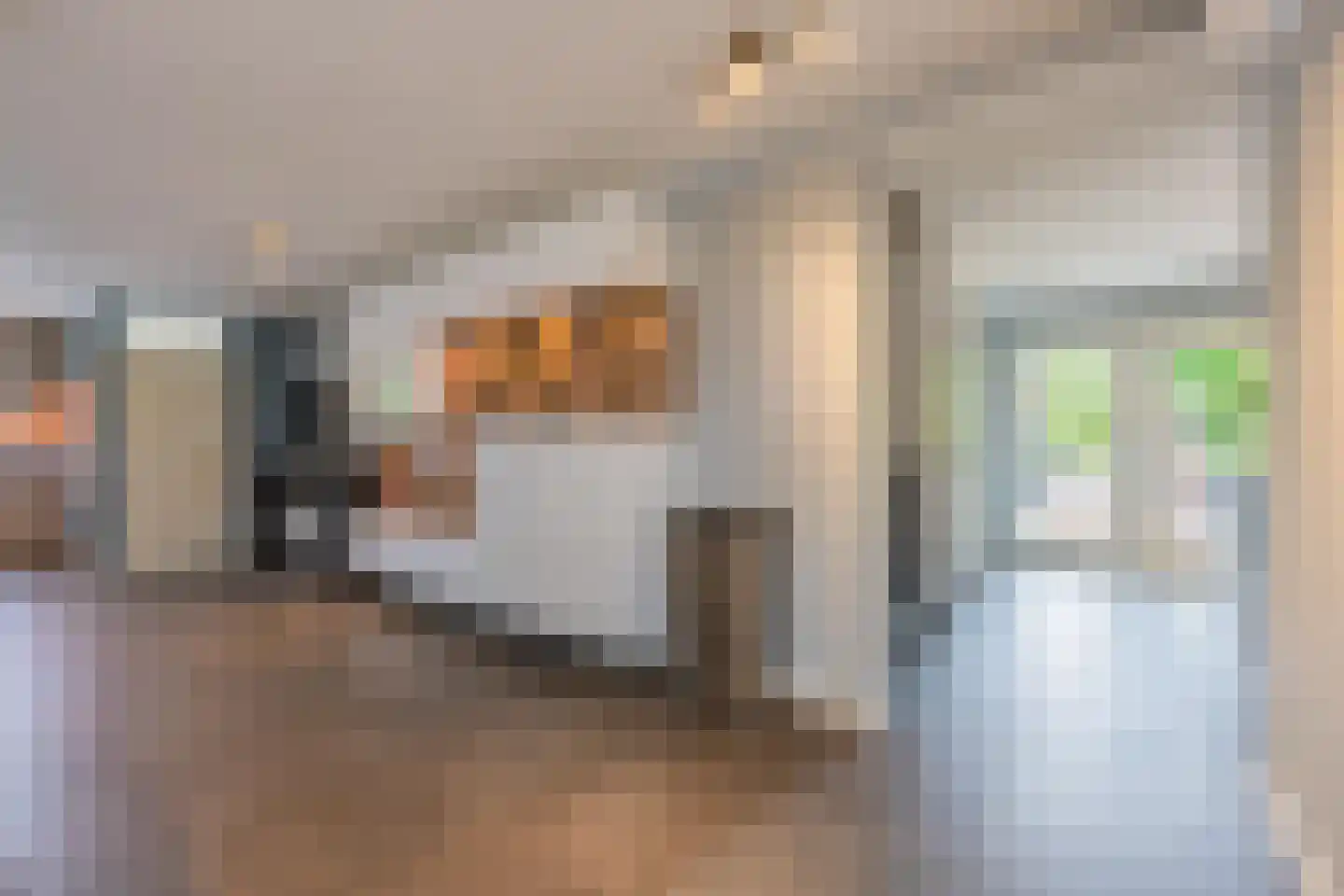 Multatulistraat 1 Tiel thumbnail 20