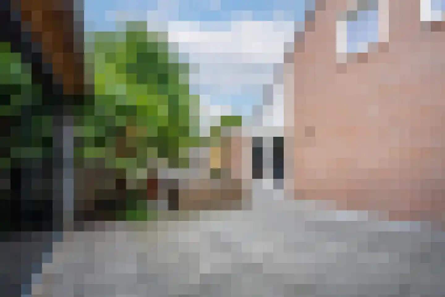 Multatulistraat 1 Tiel thumbnail 27
