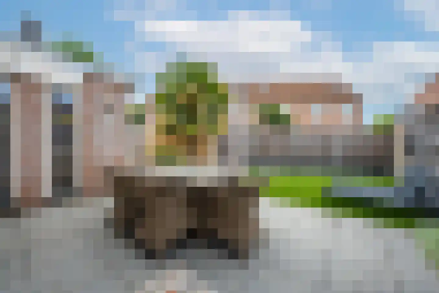 Multatulistraat 1 Tiel foto 3