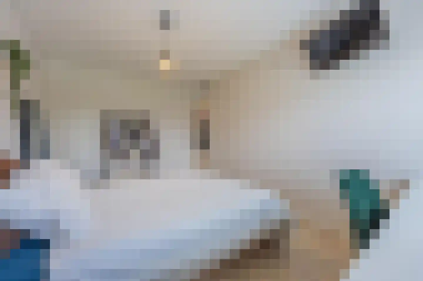 Multatulistraat 1 Tiel thumbnail 45