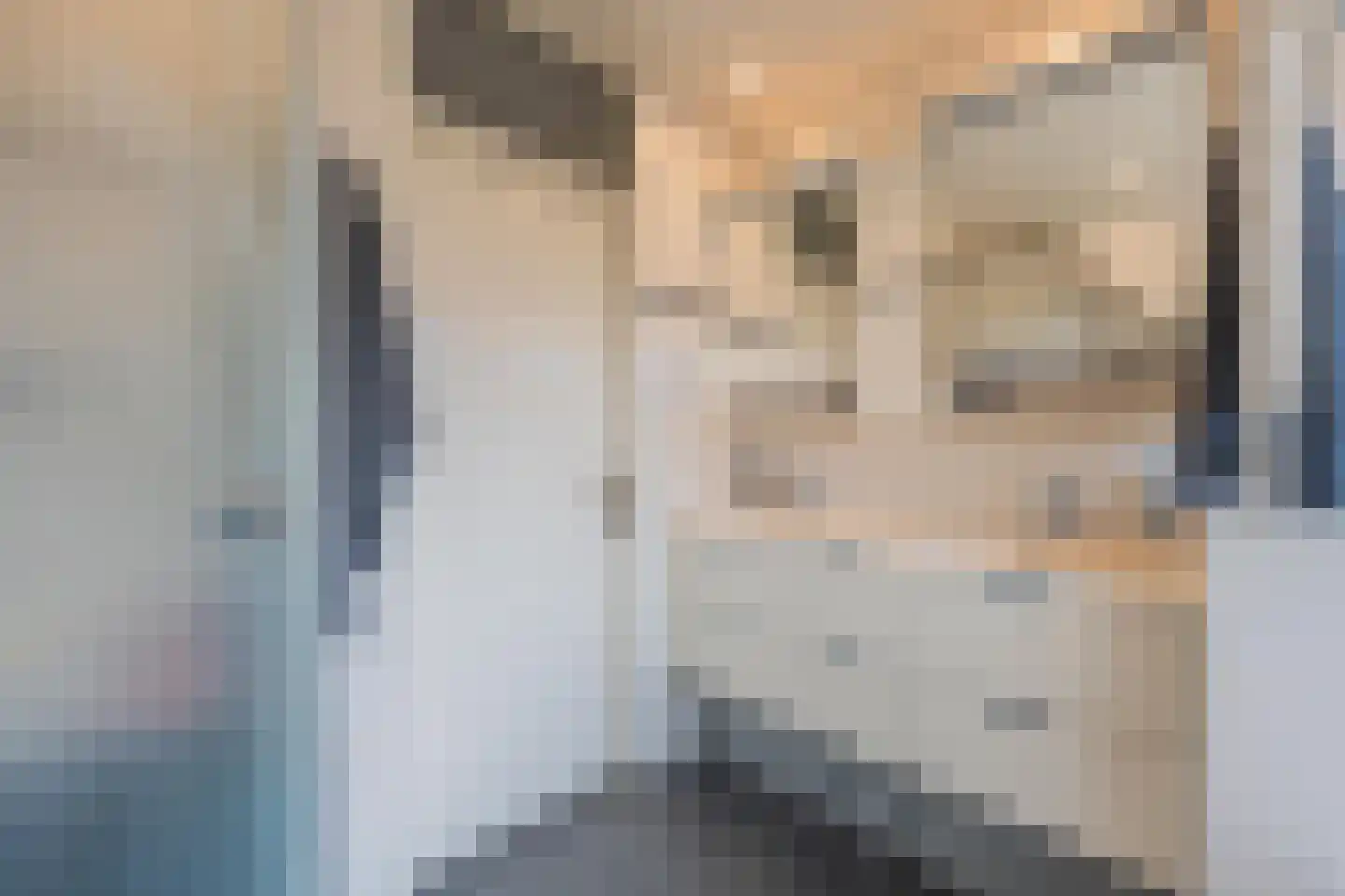 Multatulistraat 1 Tiel thumbnail 50
