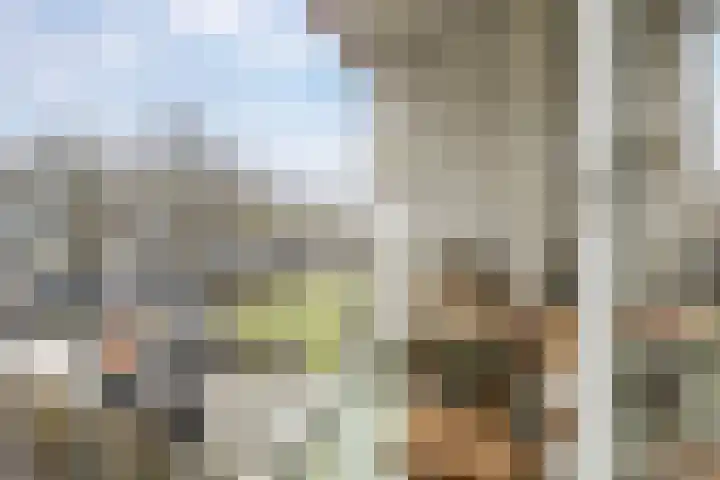 Multatulistraat 102 Groningen thumbnail 16