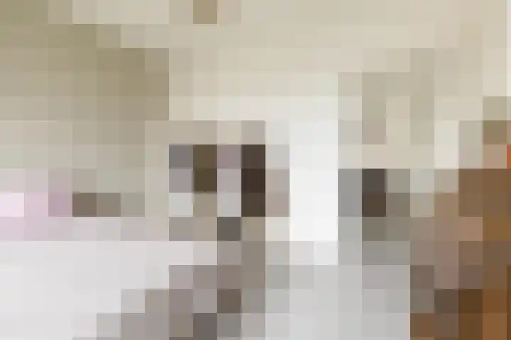Multatulistraat 102 Groningen thumbnail 25