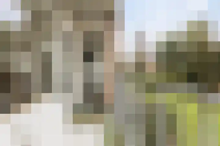 Multatulistraat 102 Groningen thumbnail 28