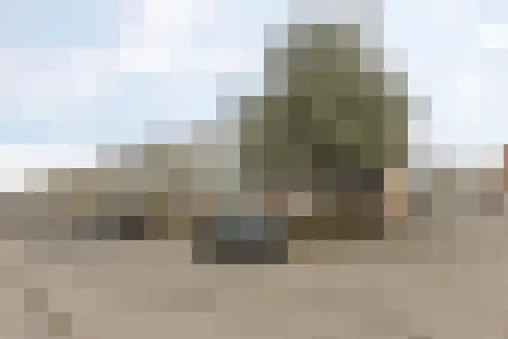 Multatulistraat 102 Groningen thumbnail 31