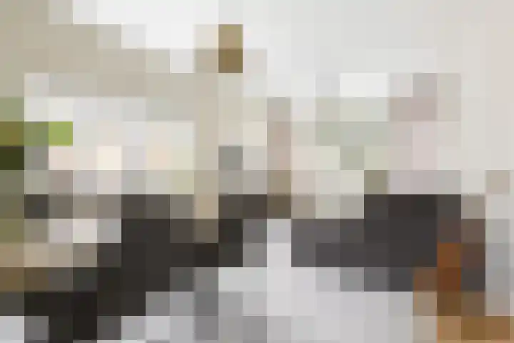 Multatulistraat 102 Groningen thumbnail 8