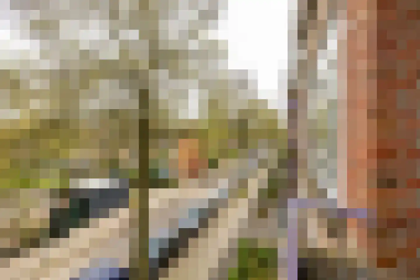 Multatulistraat 103 Groningen thumbnail 20