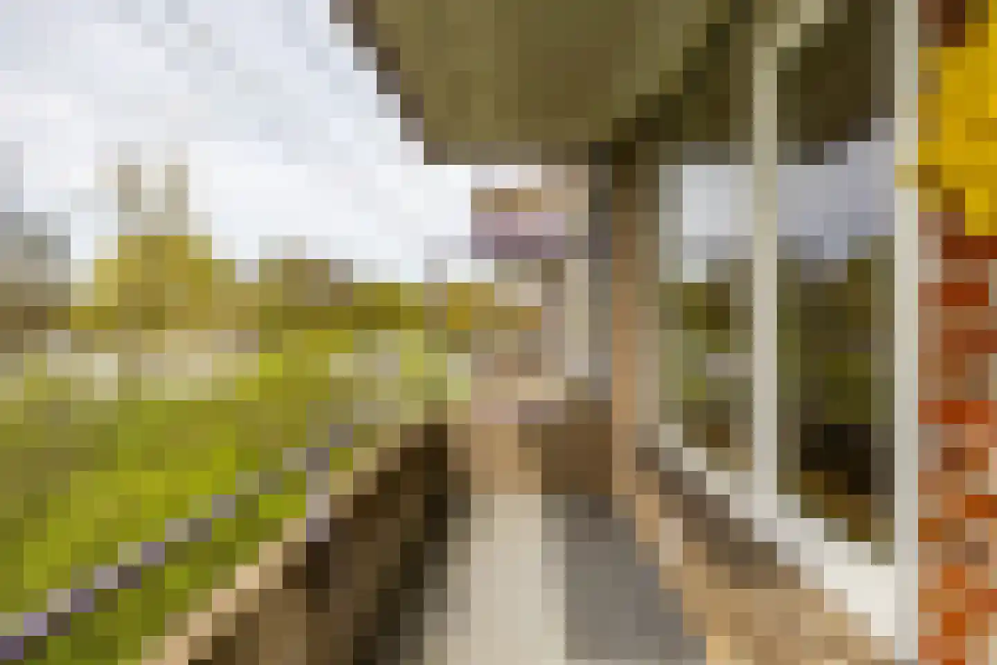 Multatulistraat 103 Groningen thumbnail 24