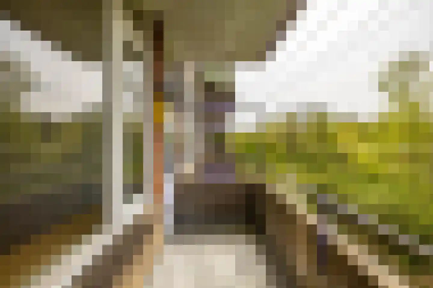Multatulistraat 103 Groningen thumbnail 25