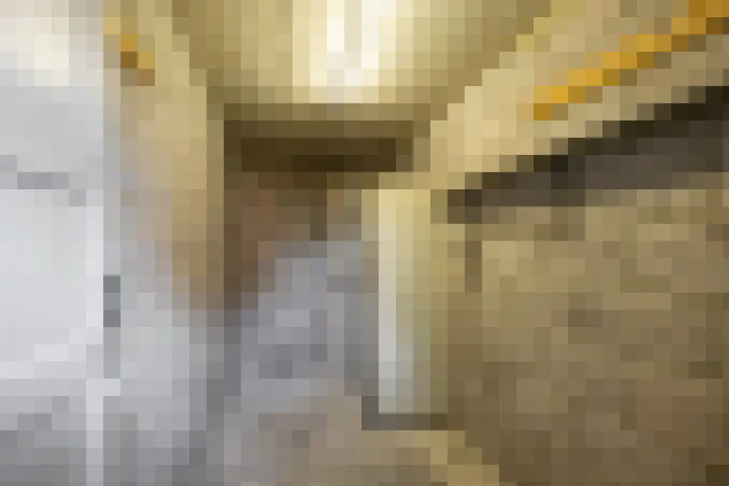 Multatulistraat 103 Groningen thumbnail 28