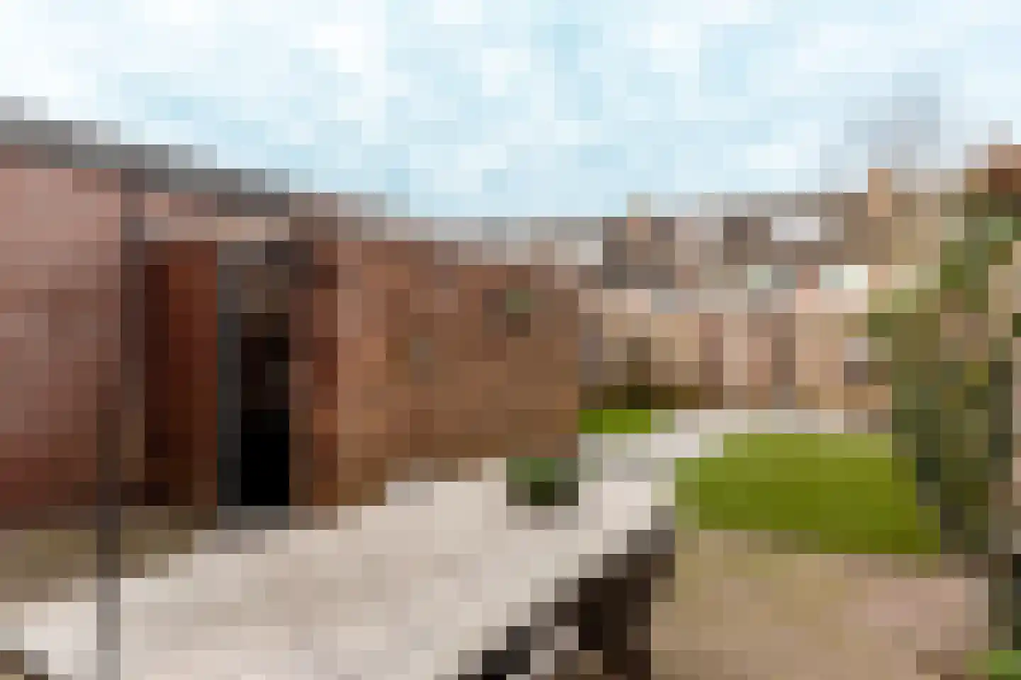 Multatulistraat 11 Harderwijk thumbnail 6