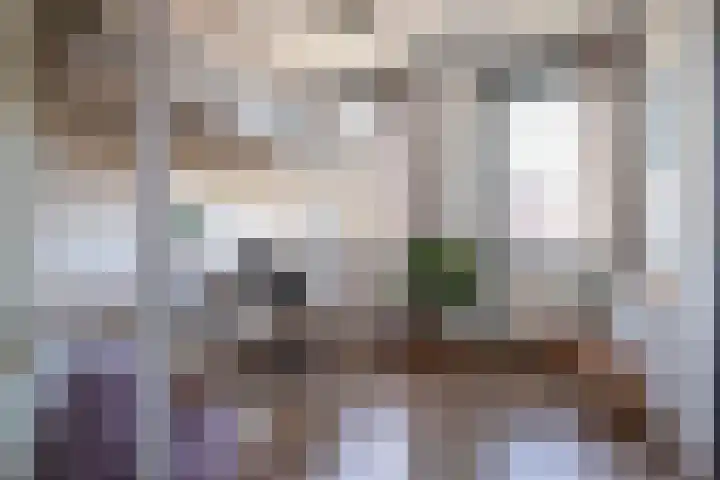 Multatulistraat 117 Gorinchem thumbnail 11