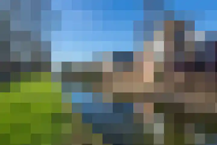 Multatulistraat 117 Gorinchem thumbnail 21