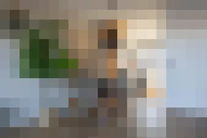 Multatulistraat 117 Gorinchem thumbnail 6