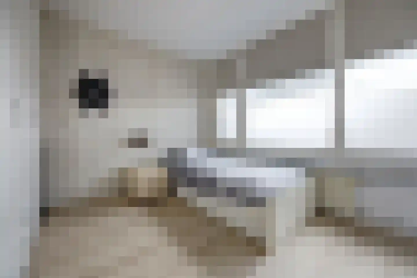 Multatulistraat 12 Spijkenisse thumbnail 14