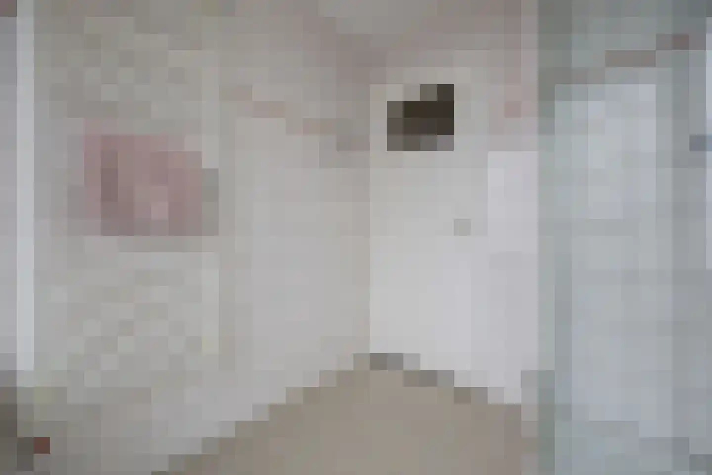 Multatulistraat 12 Spijkenisse thumbnail 20