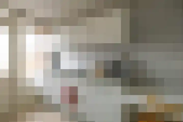 Multatulistraat 127 Groningen thumbnail 22