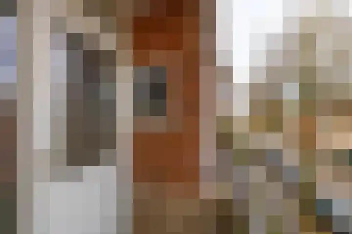 Multatulistraat 127 Groningen thumbnail 26