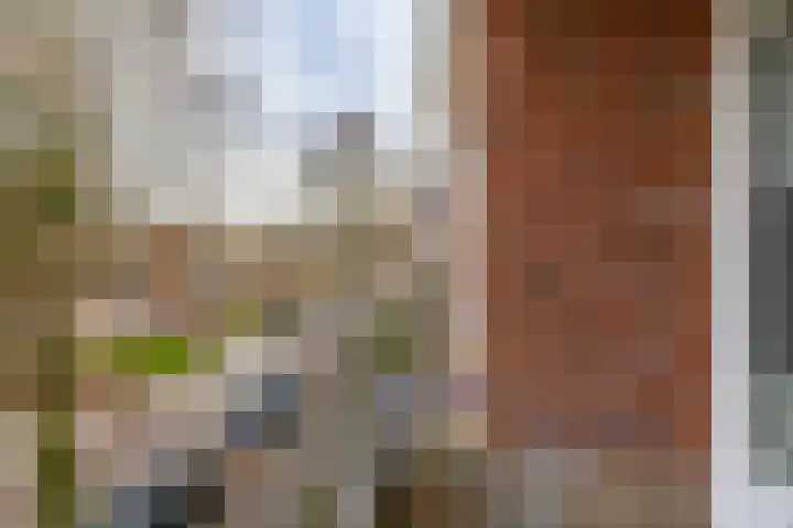 Multatulistraat 127 Groningen thumbnail 27