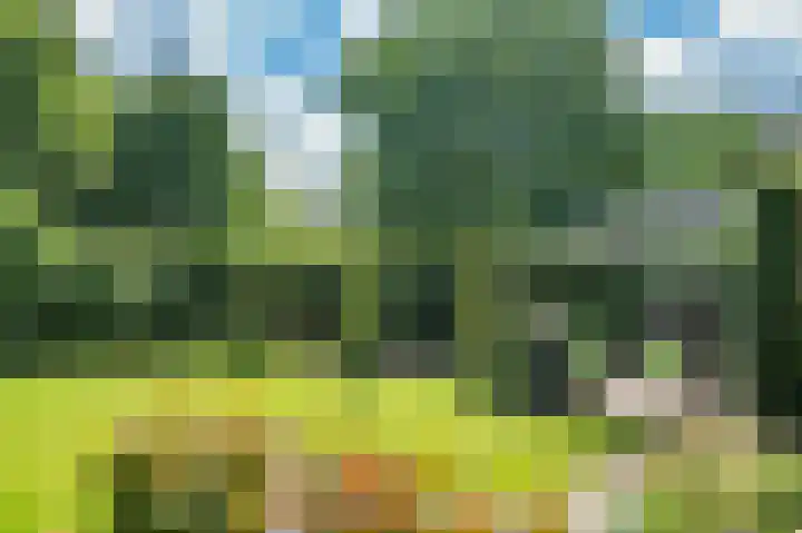 Multatulistraat 15 Weert thumbnail 4