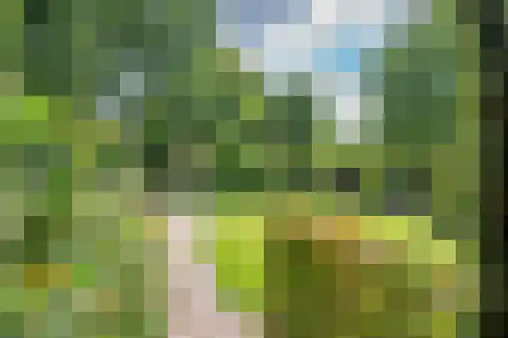 Multatulistraat 15 Weert thumbnail 54