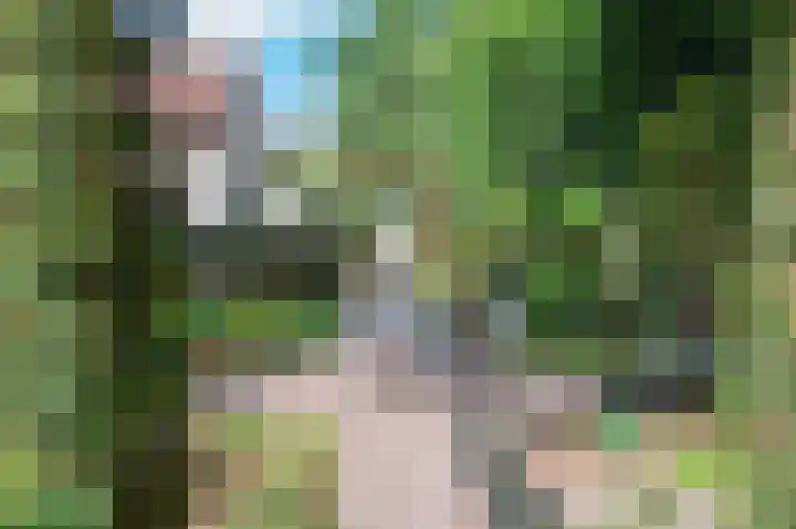 Multatulistraat 15 Weert thumbnail 56