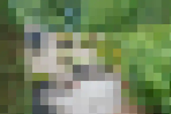 Multatulistraat 15 Weert thumbnail 57