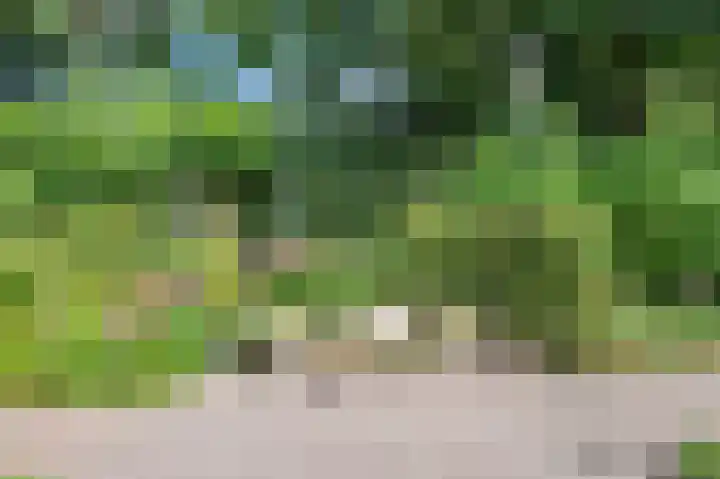 Multatulistraat 15 Weert thumbnail 62