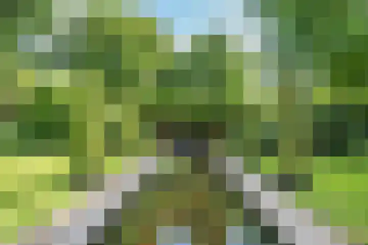 Multatulistraat 15 Weert thumbnail 63