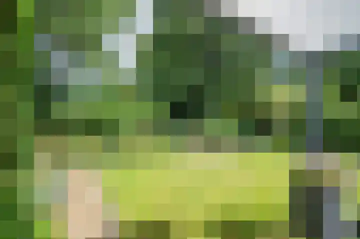 Multatulistraat 15 Weert thumbnail 66