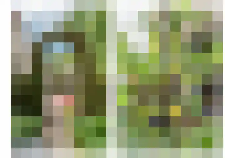 Multatulistraat 15 Weert thumbnail 69