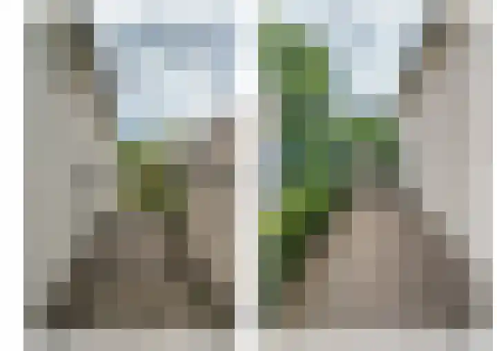 Multatulistraat 15 Weert thumbnail 70