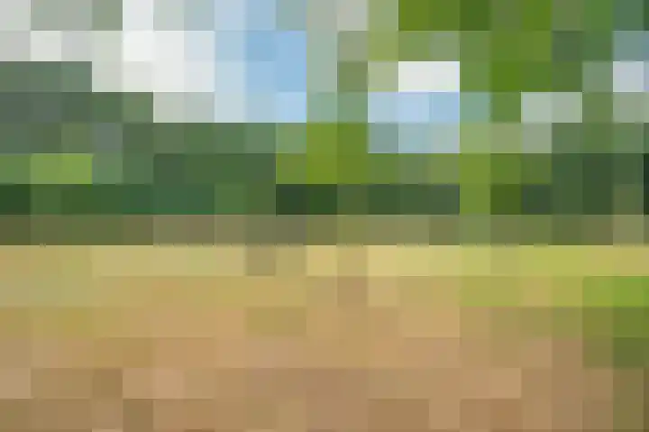 Multatulistraat 15 Weert thumbnail 76