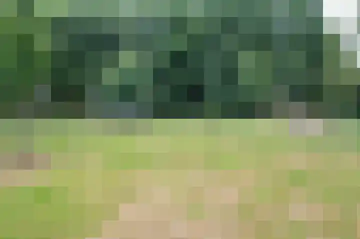 Multatulistraat 15 Weert thumbnail 77