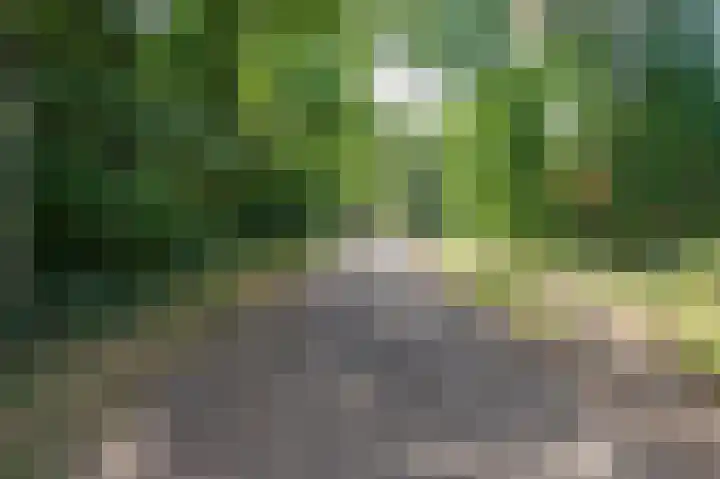 Multatulistraat 15 Weert thumbnail 80