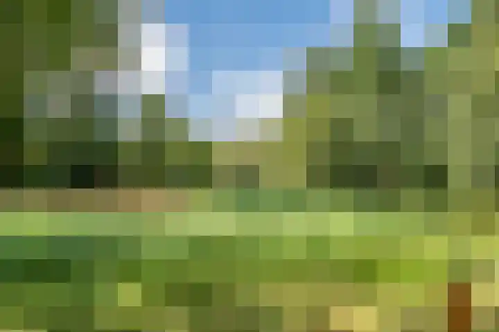Multatulistraat 15 Weert thumbnail 81