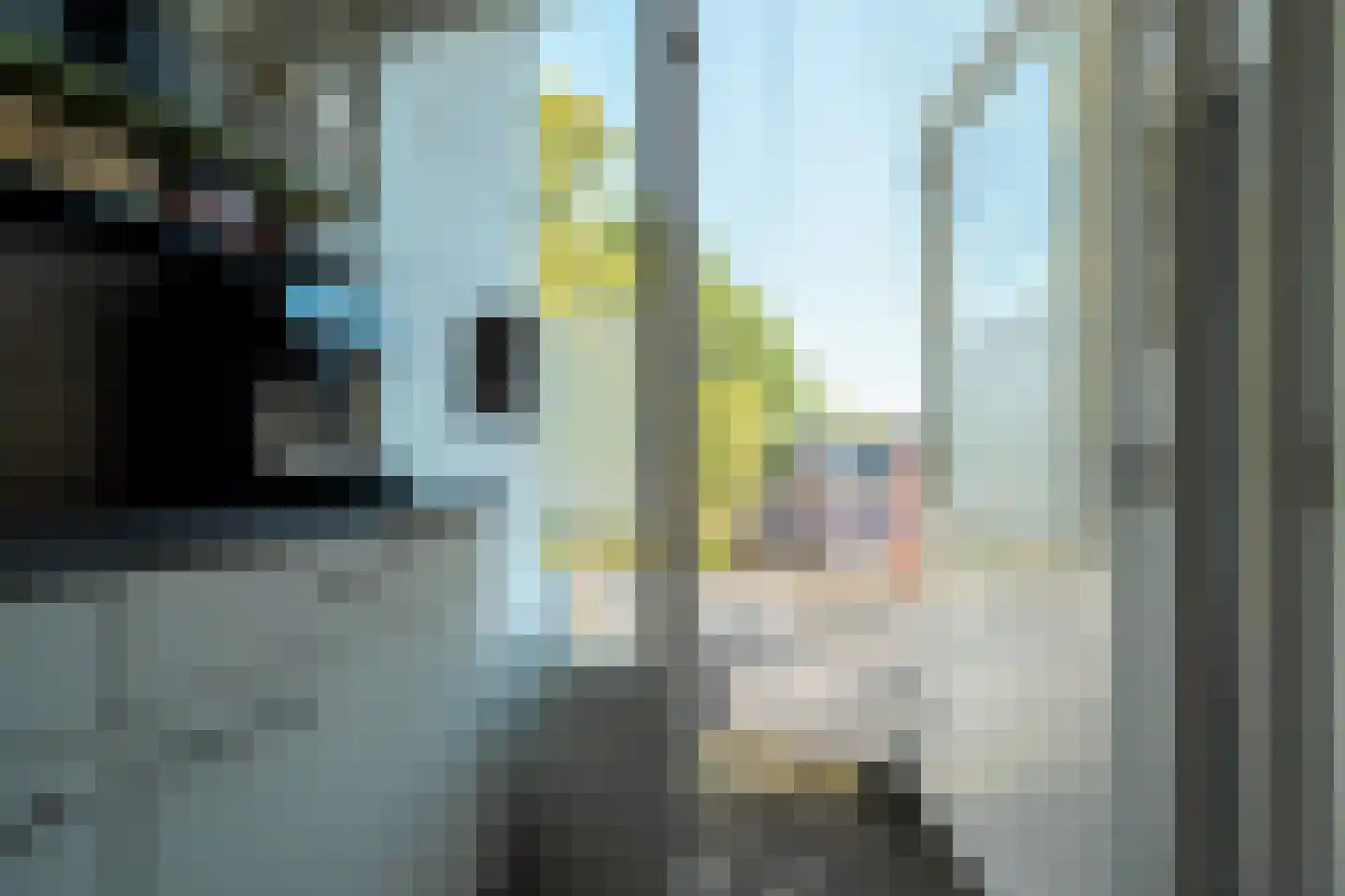 Multatulistraat 153 Groningen thumbnail 23