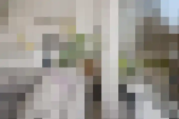 Multatulistraat 163 Groningen thumbnail 19