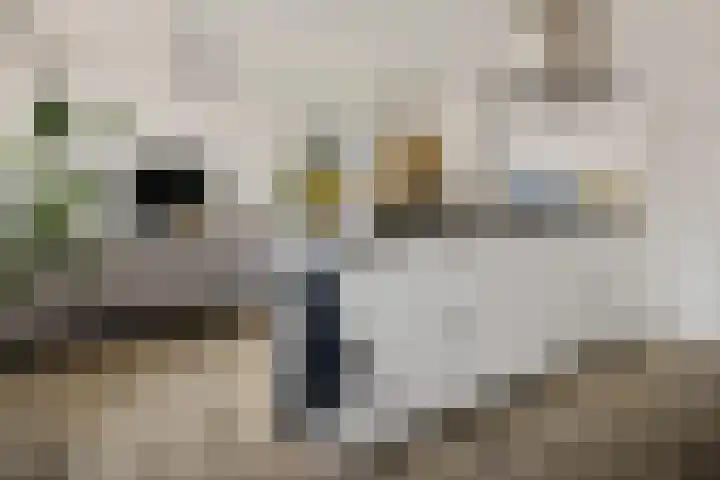 Multatulistraat 163 Groningen thumbnail 25
