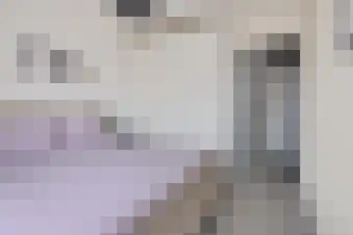 Multatulistraat 163 Groningen thumbnail 31