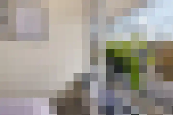 Multatulistraat 163 Groningen thumbnail 32