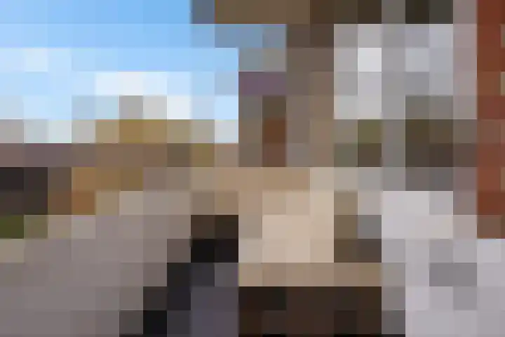 Multatulistraat 163 Groningen thumbnail 36