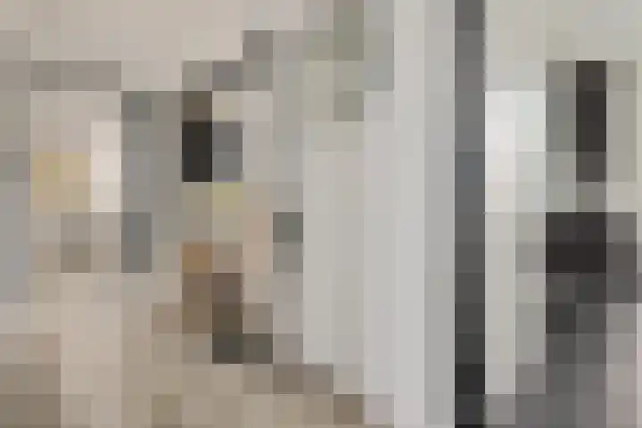 Multatulistraat 163 Groningen thumbnail 40