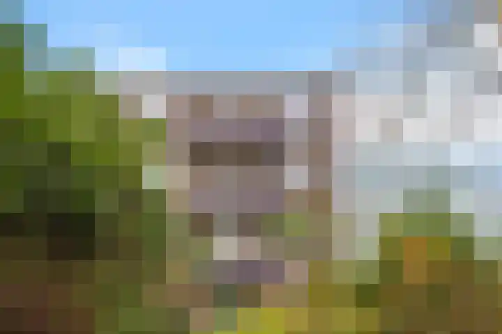 Multatulistraat 163 Groningen thumbnail 9
