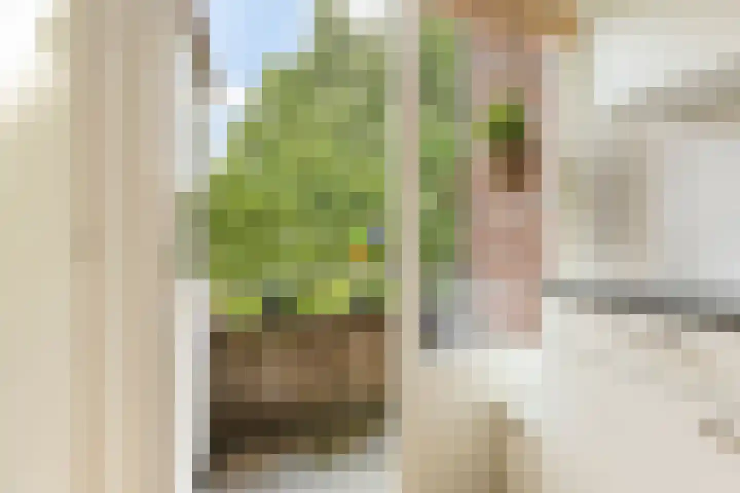 Multatulistraat 167 Groningen thumbnail 22