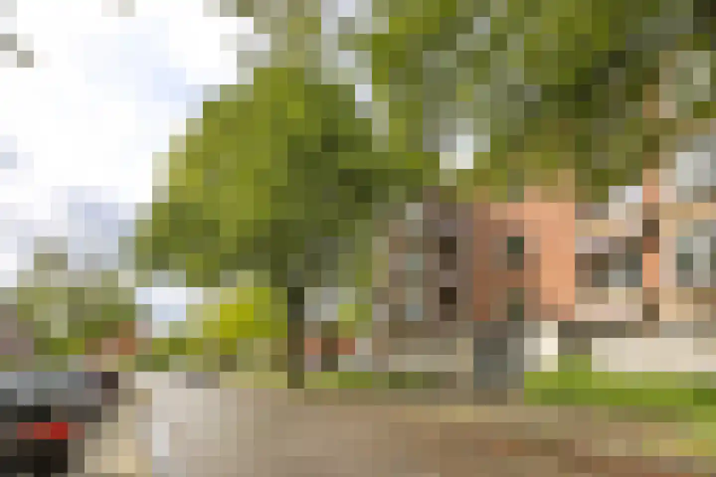 Multatulistraat 167 Groningen thumbnail 33